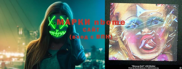 прущие грибы Балахна