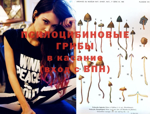 герыч Осинники