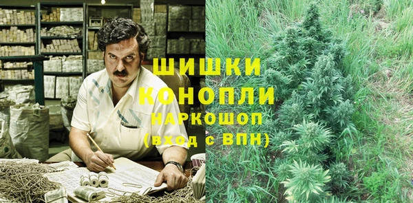 прущие грибы Балахна