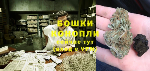 прущие грибы Балахна