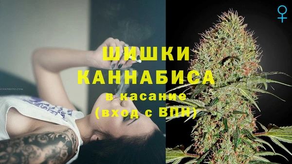 шишки Баксан