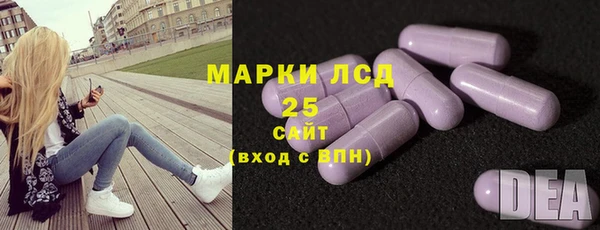 шишки Баксан
