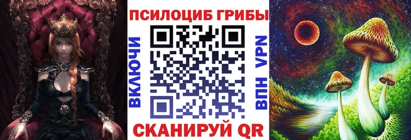 купить  сайты  Бологое  Псилоцибиновые грибы Psilocybine cubensis 